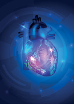 indouslabcardio-vascular-risk-assessment